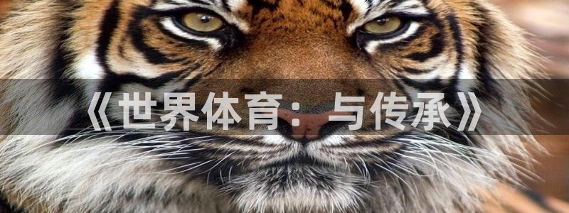 yy易游官方正版app集团官网首页:《世界体育:与传承》