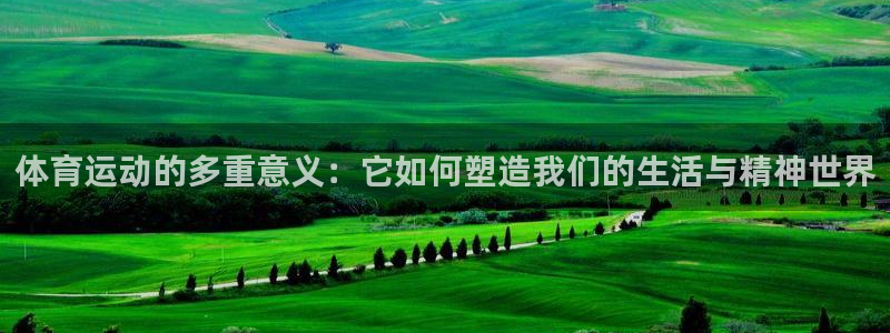 yy易游官网下载招商电话地址是多少:体育运动的多重意义:它如